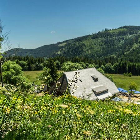 Tannenhof Fischbach - Fewo 3 "Bachforelle" - Schluchsee, 1 Schlafzimmer Exterior foto