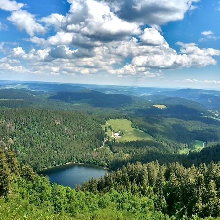 Tannenhof Fischbach - Fewo 3 "Bachforelle" - Schluchsee, 1 Schlafzimmer Exterior foto