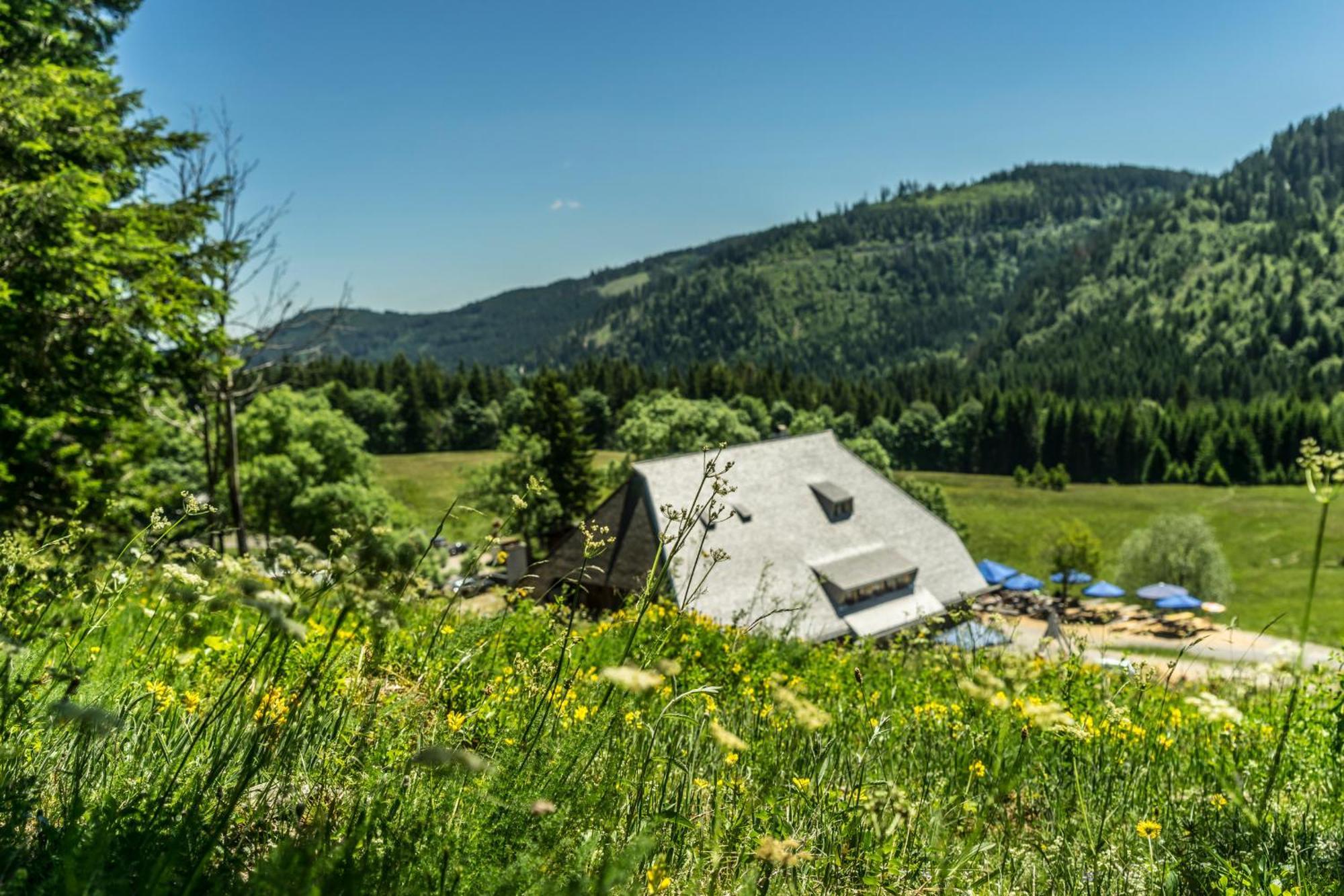 Tannenhof Fischbach - Fewo 3 "Bachforelle" - Schluchsee, 1 Schlafzimmer Exterior foto